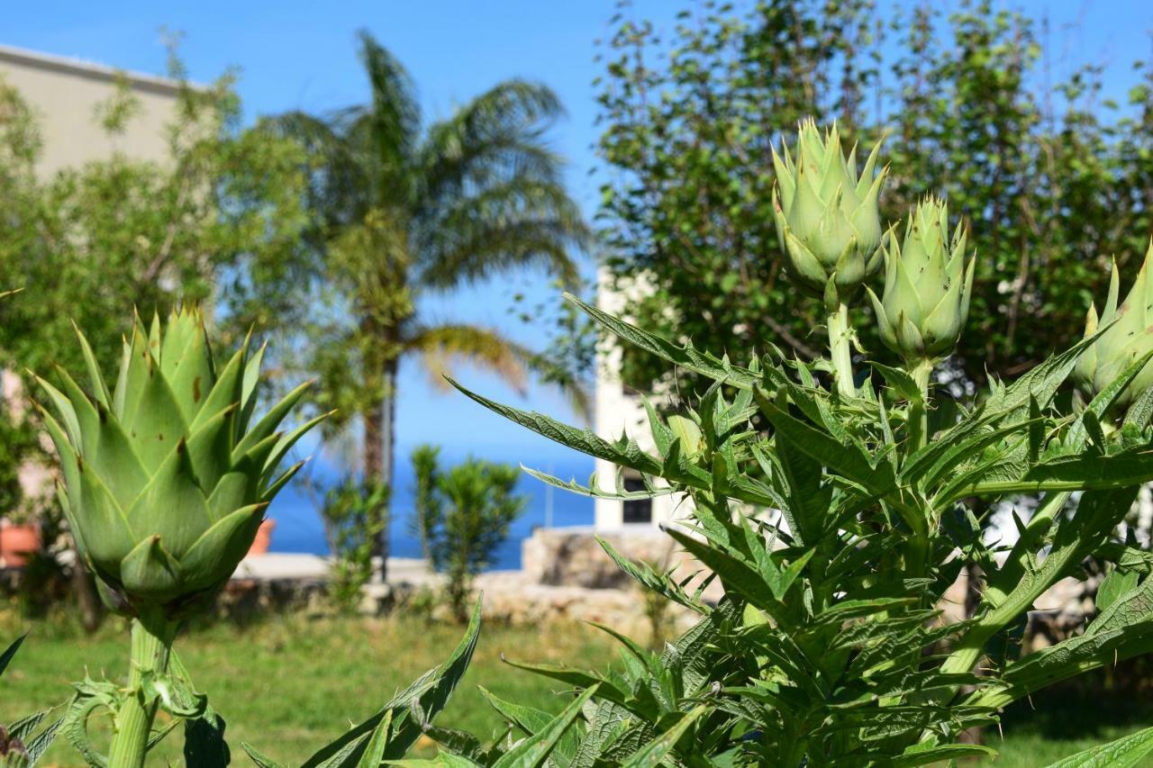 Anna'S Stone House Villa Megala Chorafia Exterior foto